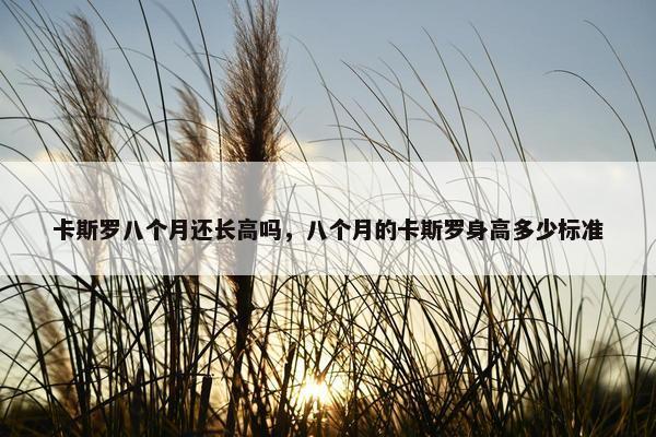 卡斯罗八个月还长高吗，八个月的卡斯罗身高多少标准