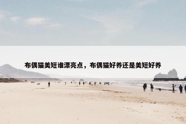 布偶猫美短谁漂亮点，布偶猫好养还是美短好养