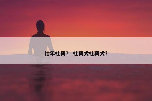 壮年杜宾？ 杜宾犬杜宾犬？