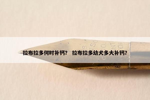 拉布拉多何时补钙？ 拉布拉多幼犬多大补钙？
