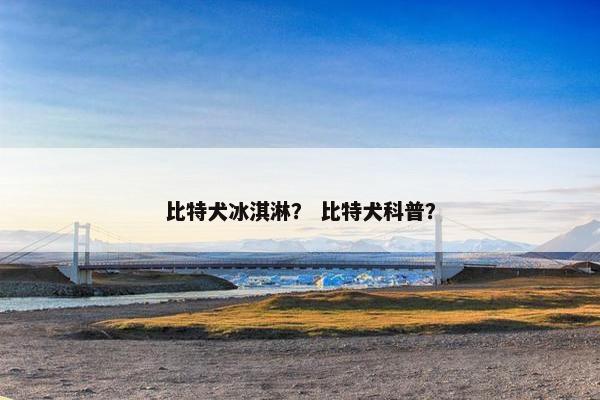 比特犬冰淇淋？ 比特犬科普？