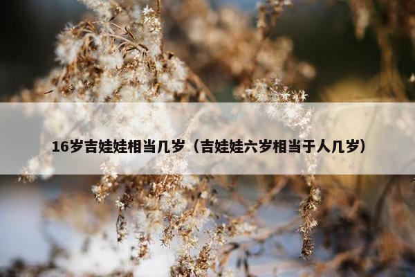 16岁吉娃娃相当几岁（吉娃娃六岁相当于人几岁）