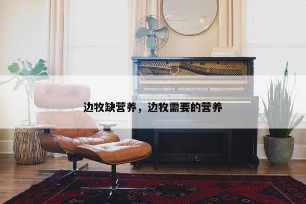 边牧缺营养，边牧需要的营养