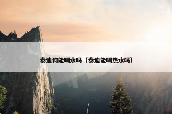 泰迪狗能喝水吗（泰迪能喝热水吗）