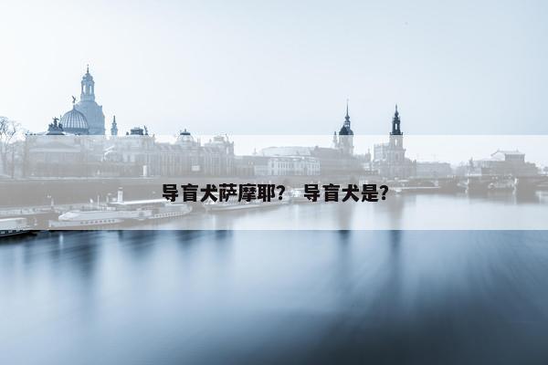 导盲犬萨摩耶？ 导盲犬是？