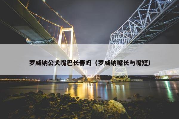 罗威纳公犬嘴巴长春吗（罗威纳嘴长与嘴短）