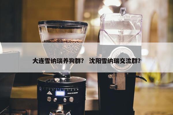 大连雪纳瑞养狗群？ 沈阳雪纳瑞交流群？