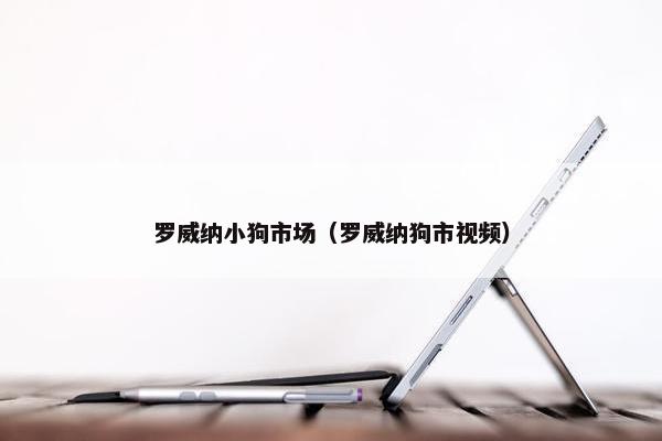 罗威纳小狗市场（罗威纳狗市视频）
