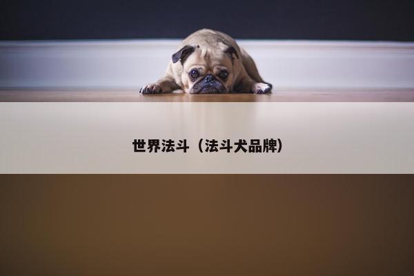 世界法斗（法斗犬品牌）