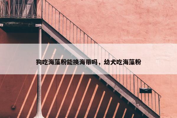 狗吃海藻粉能换海带吗，幼犬吃海藻粉
