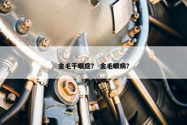 金毛干眼症？ 金毛眼病？