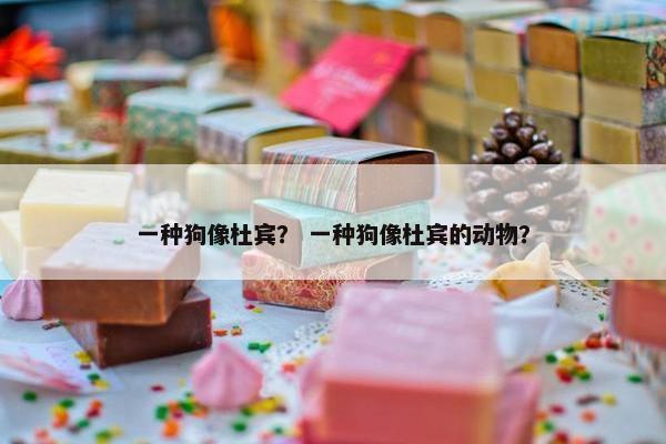一种狗像杜宾？ 一种狗像杜宾的动物？