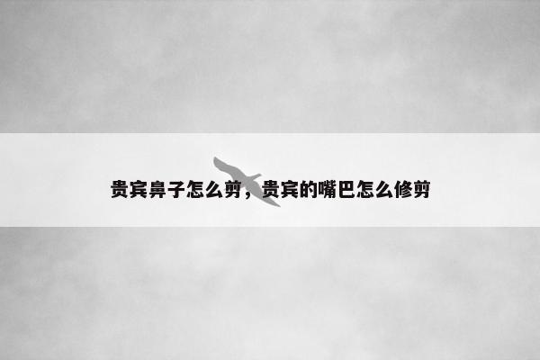 贵宾鼻子怎么剪，贵宾的嘴巴怎么修剪
