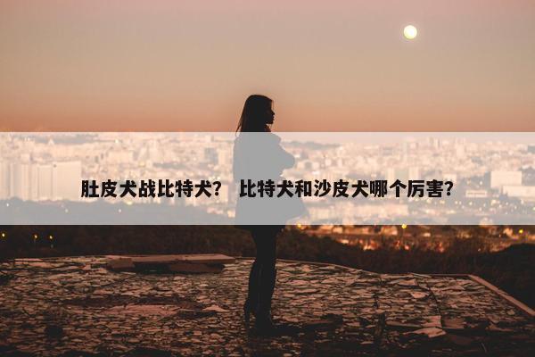 肚皮犬战比特犬？ 比特犬和沙皮犬哪个厉害？