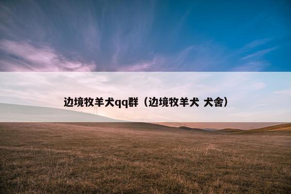 边境牧羊犬qq群（边境牧羊犬 犬舍）
