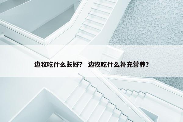 边牧吃什么长好？ 边牧吃什么补充营养？