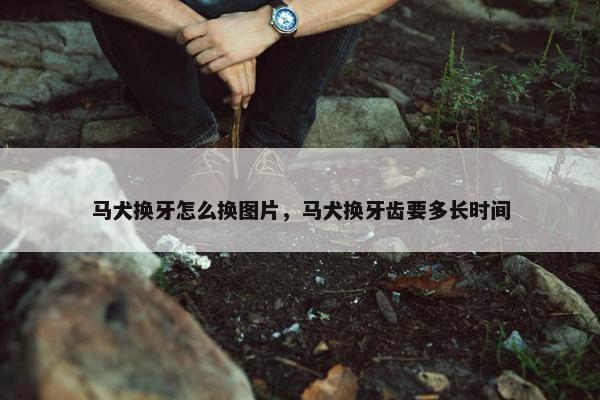 马犬换牙怎么换图片，马犬换牙齿要多长时间