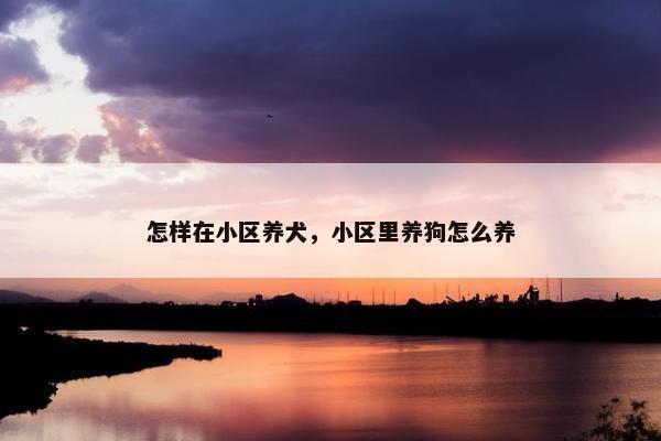 怎样在小区养犬，小区里养狗怎么养