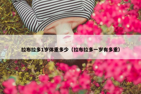 拉布拉多1岁体重多少（拉布拉多一岁有多重）