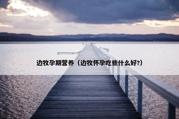 边牧孕期营养（边牧怀孕吃些什么好?）