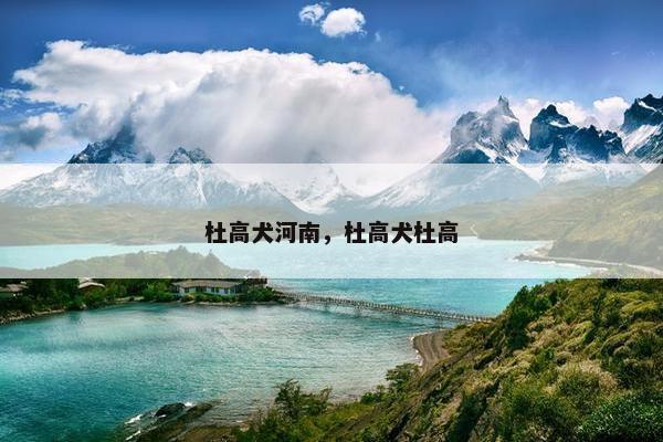 杜高犬河南，杜高犬杜高