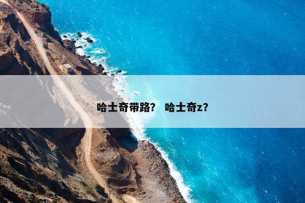 哈士奇带路？ 哈士奇z？