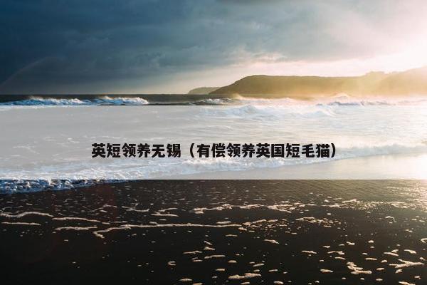 英短领养无锡（有偿领养英国短毛猫）