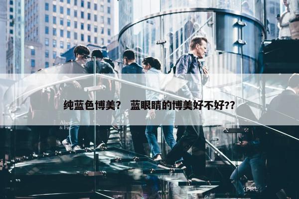 纯蓝色博美？ 蓝眼睛的博美好不好?？