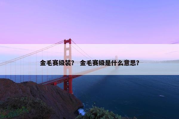 金毛赛级装？ 金毛赛级是什么意思？