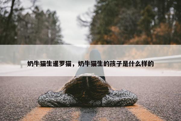 奶牛猫生暹罗猫，奶牛猫生的孩子是什么样的