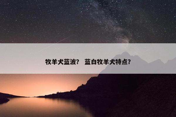 牧羊犬蓝波？ 蓝白牧羊犬特点？