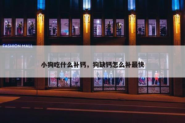 小狗吃什么补钙，狗缺钙怎么补最快