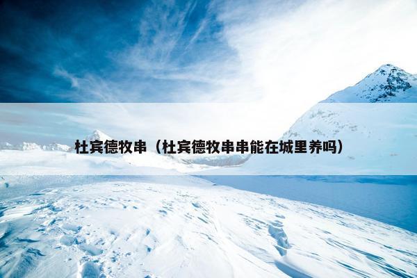 杜宾德牧串（杜宾德牧串串能在城里养吗）