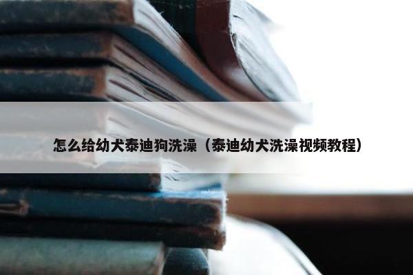 怎么给幼犬泰迪狗洗澡（泰迪幼犬洗澡视频教程）