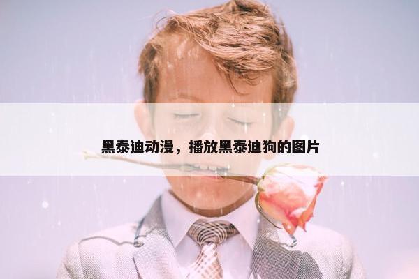 黑泰迪动漫，播放黑泰迪狗的图片