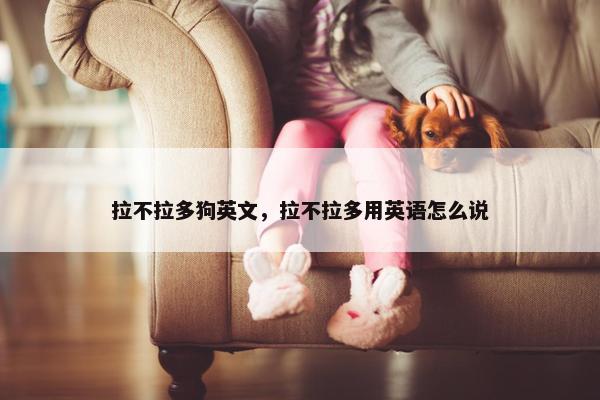 拉不拉多狗英文，拉不拉多用英语怎么说