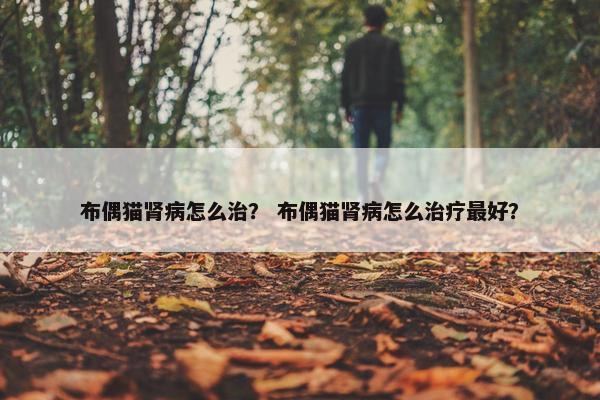 布偶猫肾病怎么治？ 布偶猫肾病怎么治疗最好？
