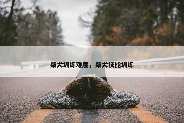 柴犬训练难度，柴犬技能训练
