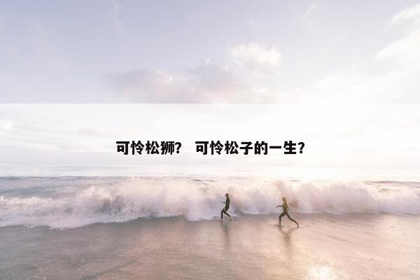 可怜松狮？ 可怜松子的一生？