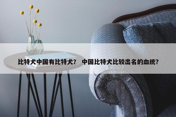 比特犬中国有比特犬？ 中国比特犬比较出名的血统？