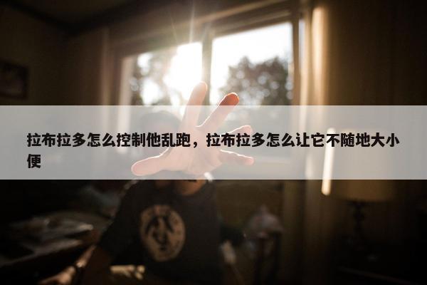 拉布拉多怎么控制他乱跑，拉布拉多怎么让它不随地大小便