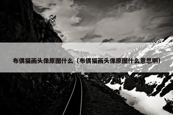 布偶猫画头像原图什么（布偶猫画头像原图什么意思啊）