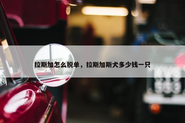 拉斯加怎么脱单，拉斯加斯犬多少钱一只