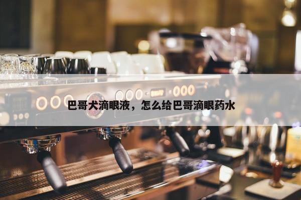 巴哥犬滴眼液，怎么给巴哥滴眼药水