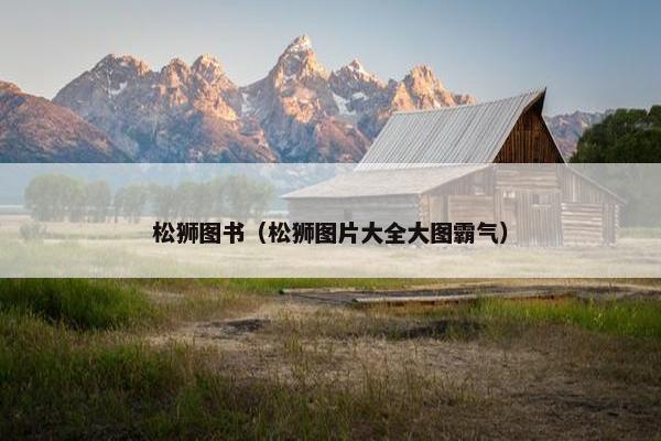 松狮图书（松狮图片大全大图霸气）