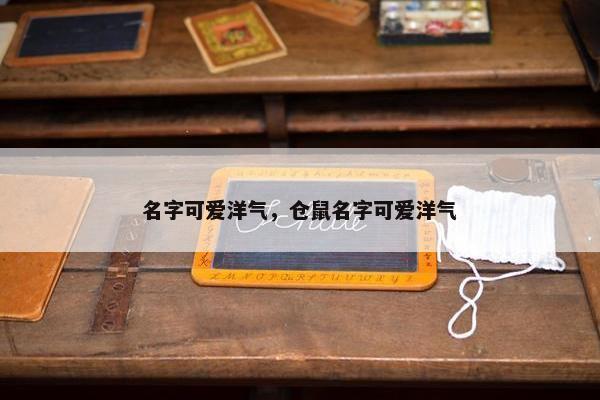 名字可爱洋气，仓鼠名字可爱洋气