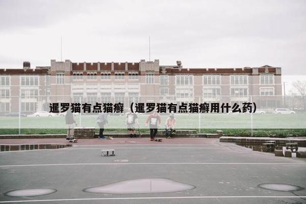 暹罗猫有点猫癣（暹罗猫有点猫癣用什么药）