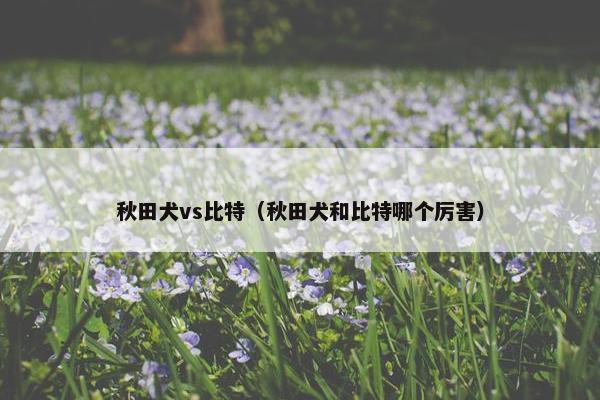 秋田犬vs比特（秋田犬和比特哪个厉害）