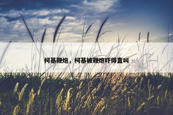 柯基鞭炮，柯基被鞭炮吓得直叫