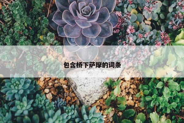 包含桥下萨摩的词条